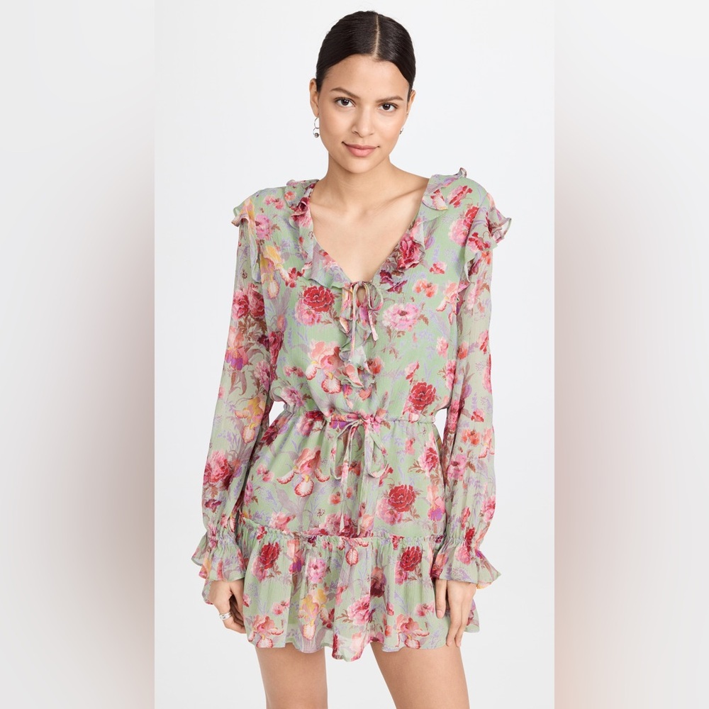 PAIGE GARCELLE DRESS